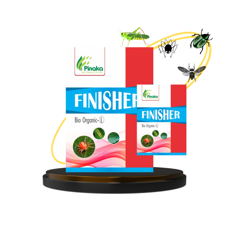 Finisher